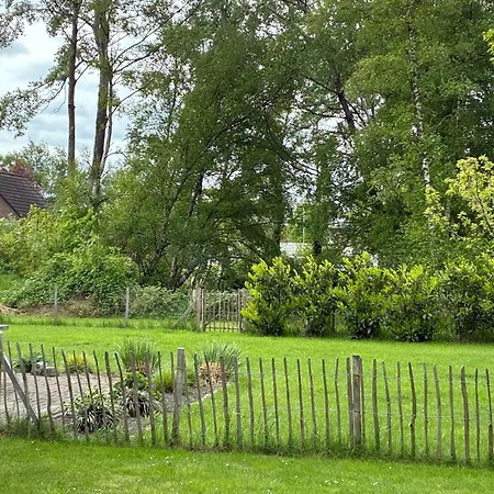 Teichkieker * Ihlow (Aurich)